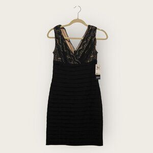 NWT ADRIANNA PAPELL LACE BODICE BANDED BLENDED DRESS, SZ: 6P